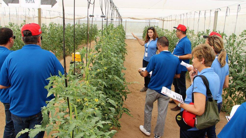 1.- Visita a los ensayos en el Campo de Cartagena|2.- Grupo de técnicos de FMC de todo el área mediterránea que participaron las jornadas|3.- Conferencias técnicas en la Universidad Politécnica de Cartagena